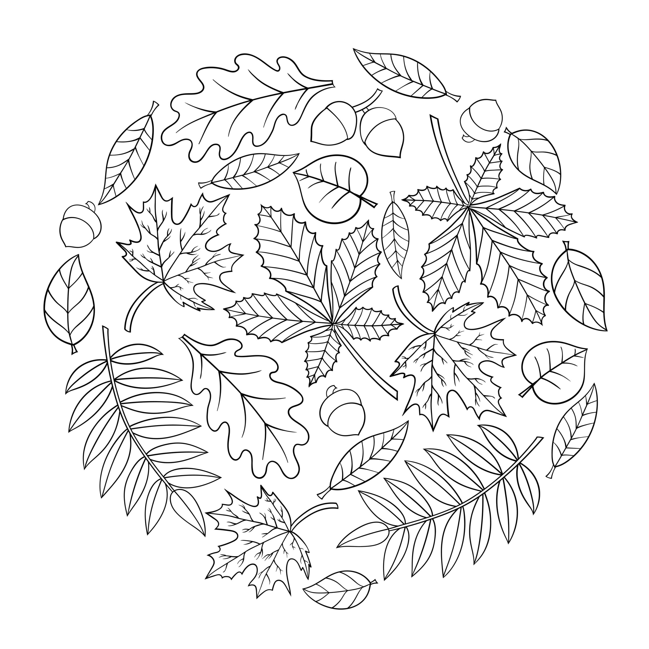 Jesienne liście – okrągła mandala z natury