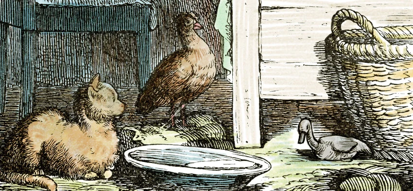 Brzydkie kaczątko – Bajka do czytania na dobranoc