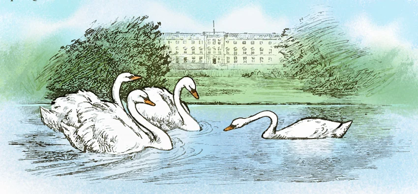 Brzydkie kaczątko – Bajka do czytania na dobranoc